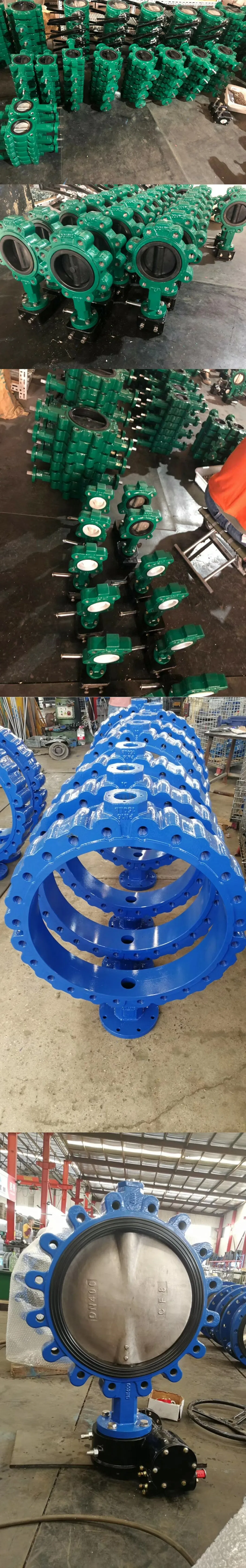 Class125 Class150 As2129 Table D/E Mss Sp Flange Connection Lug Type Butterfly Valve Cartridge Rubber Seat