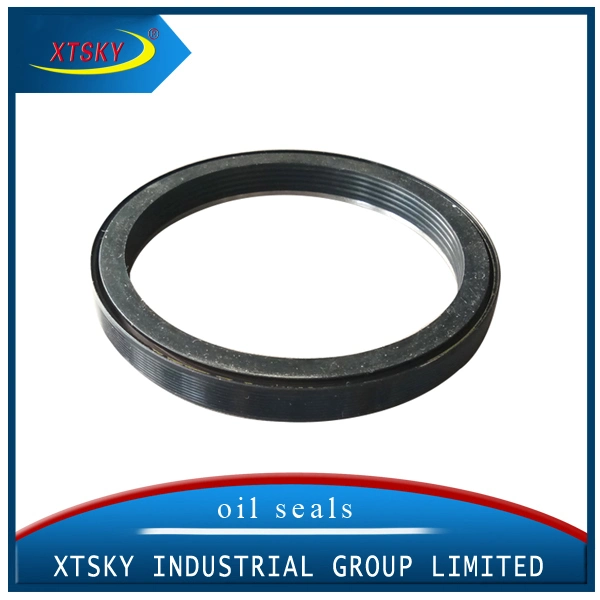 High Quality and Competitive Price Seal Vg1246010005 in Xtsky