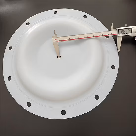 イソシギ ポンプ部品用の輸入 100% PTFE ダイヤフラム ポンプ部品
